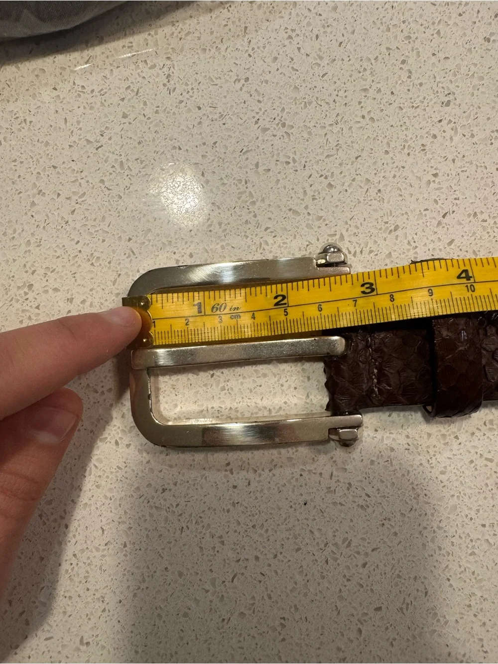 W. Kleinberg Genuine Python‎ Snakeskin Belt Brown Silver Buckle